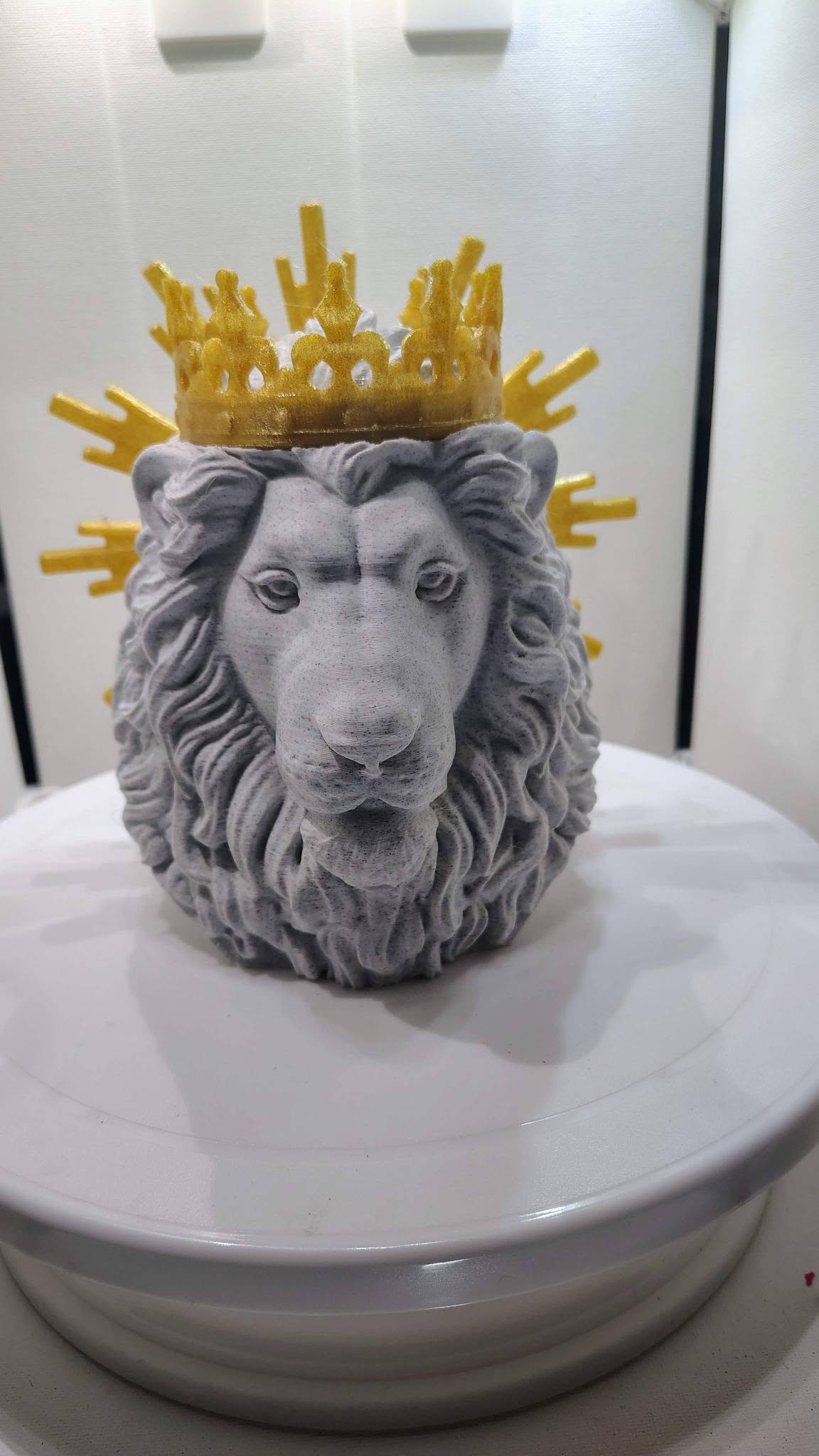Lion Of Judah