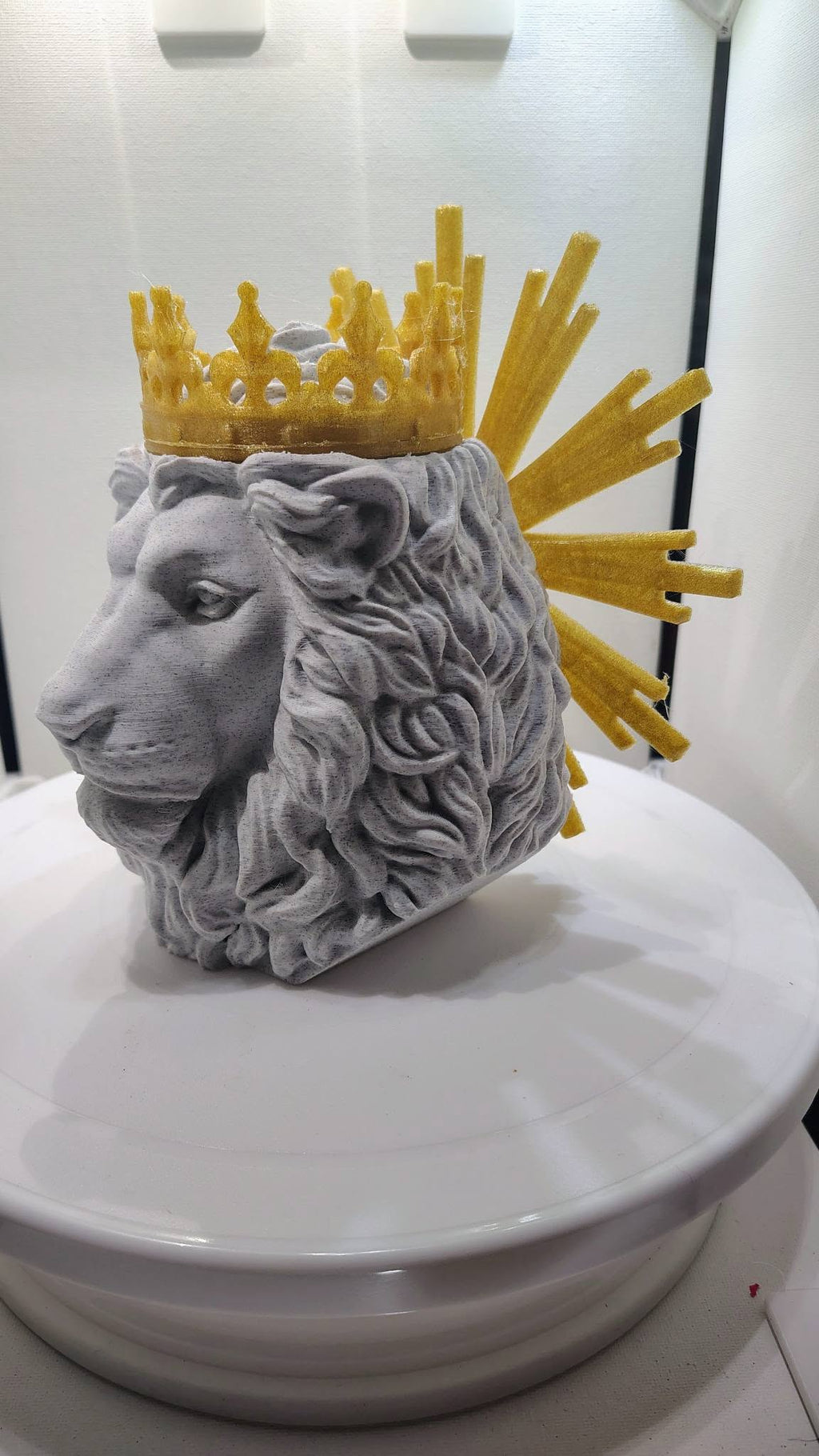 Lion Of Judah