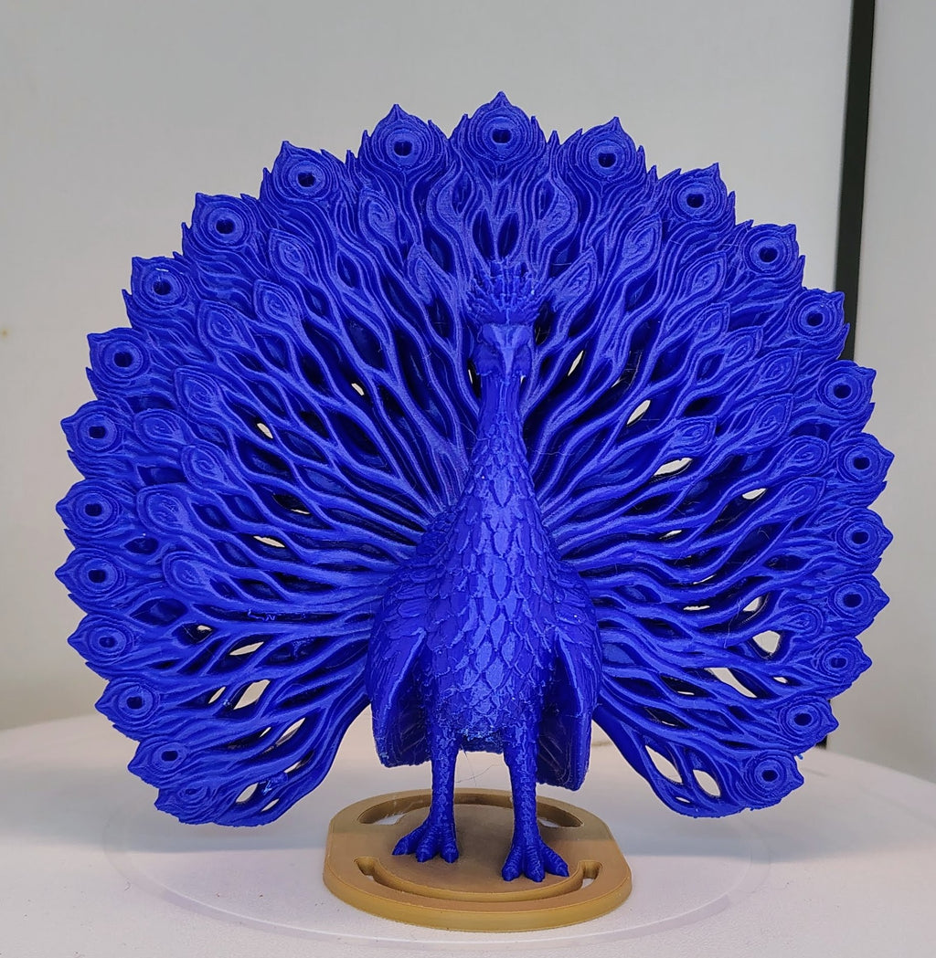 Grand Crest Peacock
