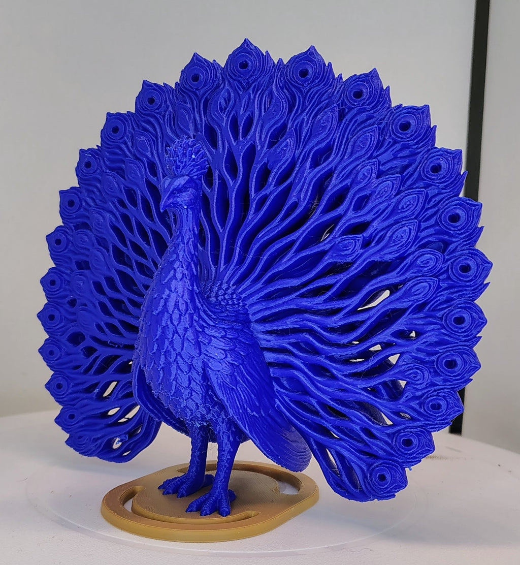 Grand Crest Peacock