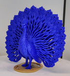Grand Crest Peacock
