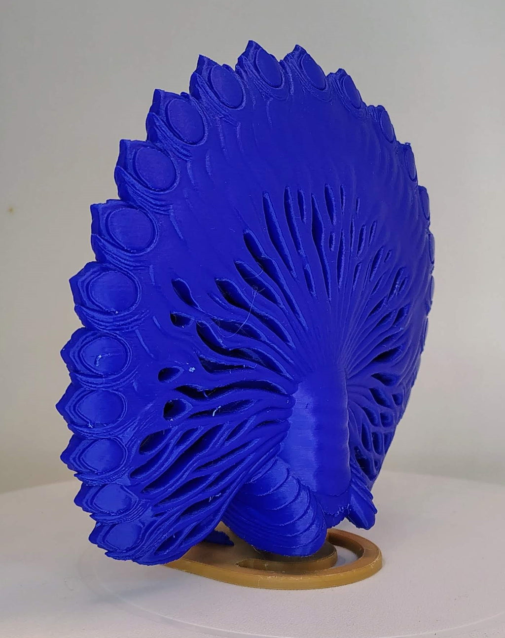 Grand Crest Peacock