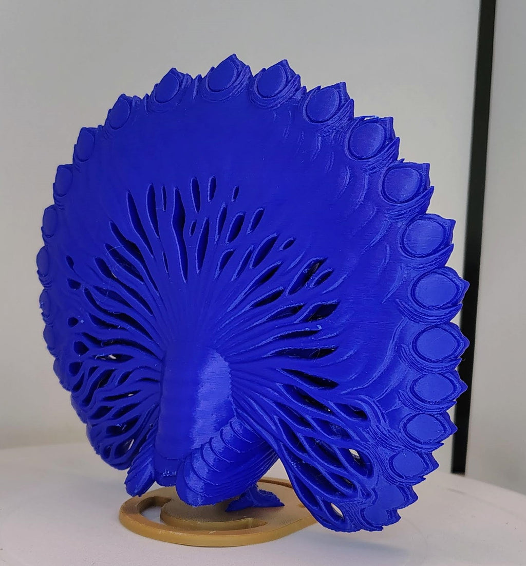 Grand Crest Peacock